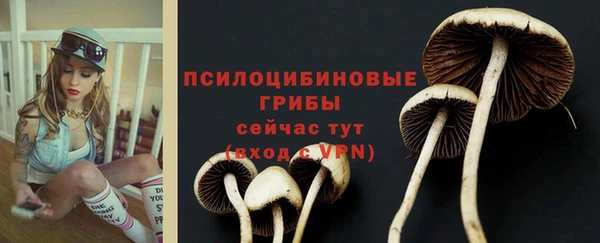 амф Ельня