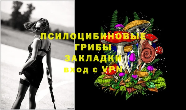 бошки Кулебаки