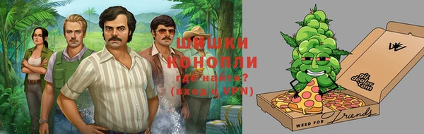 ПСИЛОЦИБИНОВЫЕ ГРИБЫ Аркадак