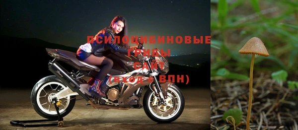 ПСИЛОЦИБИНОВЫЕ ГРИБЫ Аркадак