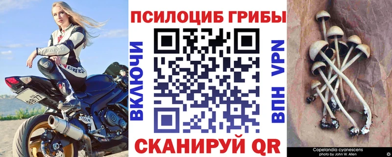 это телеграм  Кропоткин  Псилоцибиновые грибы Magic Shrooms 